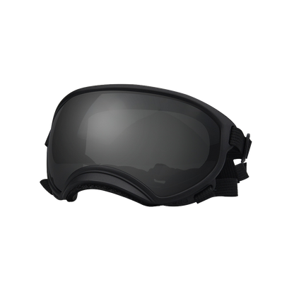 Ski Pet Dog Wind Protection Goggles
