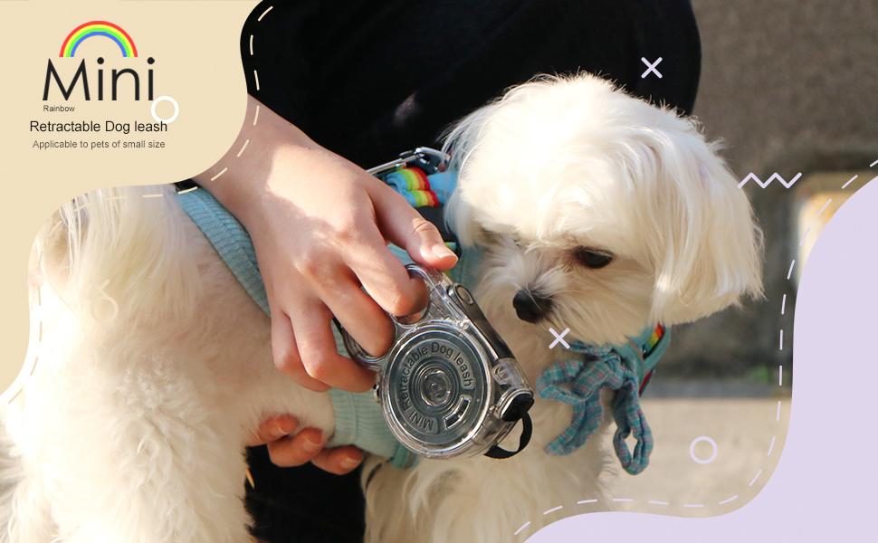 Mini Retractable Dog Leash for Small Pets – Lightweight & Portable