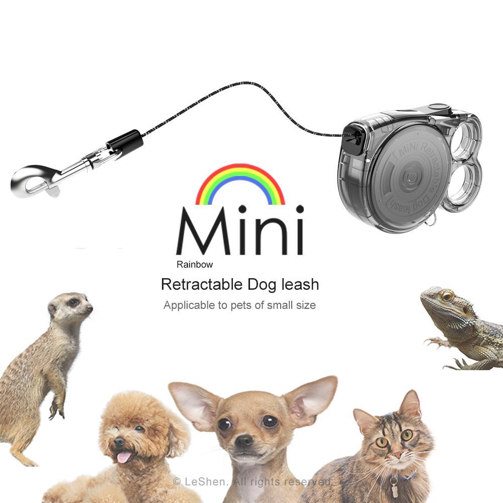 Mini Retractable Dog Leash for Small Pets – Lightweight & Portable